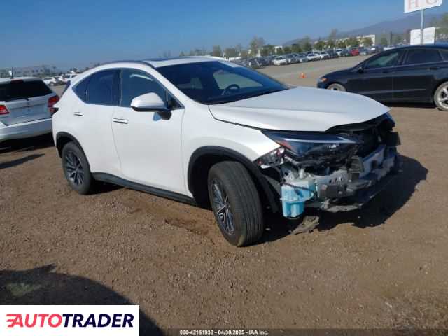 Lexus NX 2024 2