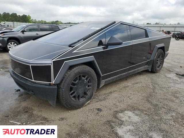 Tesla Pozostałe 2024