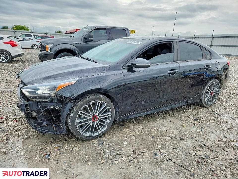 Kia Pozostałe 2020 1
