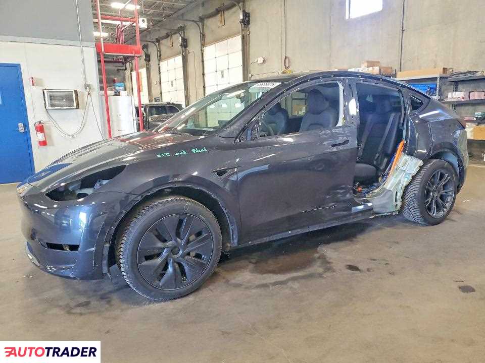 Tesla Model Y 2024