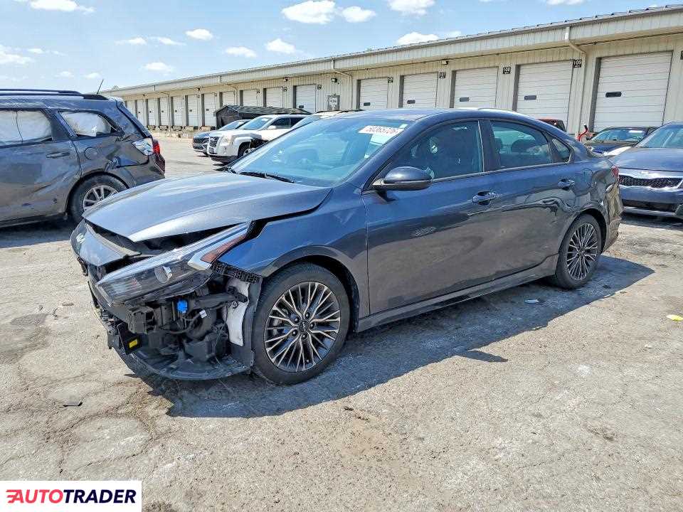 Kia Pozostałe 2024 2
