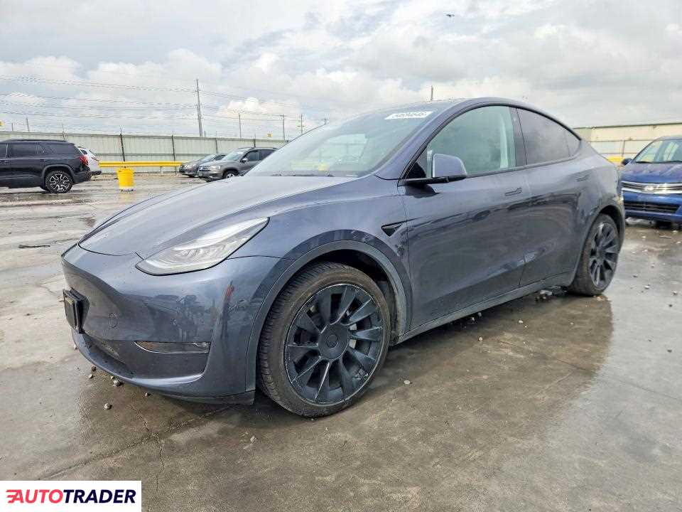 Tesla Model Y 2020