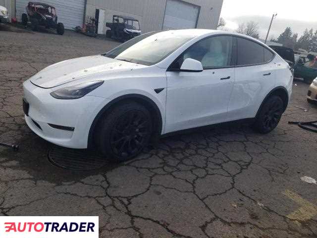 Tesla Model Y benzyna 2024r. (WOODBURN)