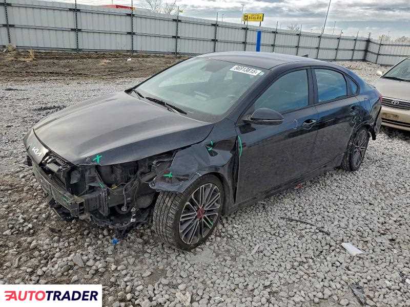 Kia Pozostałe 2022 1