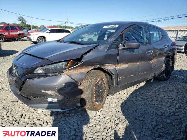 Nissan Leaf 2024 Nissan Leaf 2024
