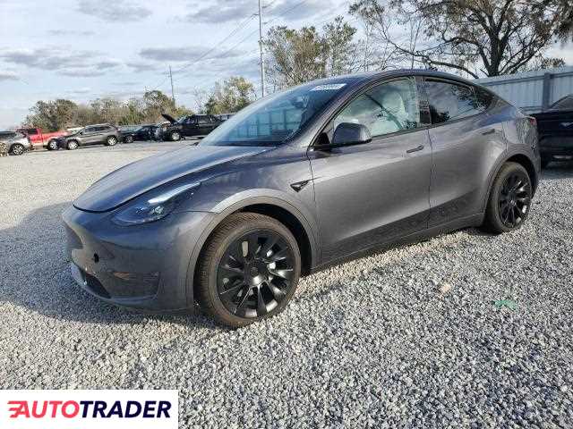 Tesla Model Y benzyna 2023r. (RIVERVIEW)