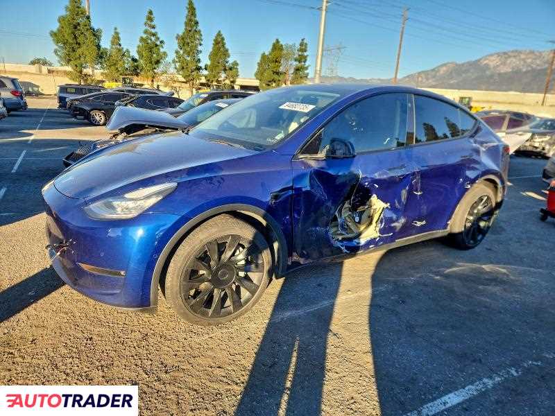 Tesla Model Y 2021