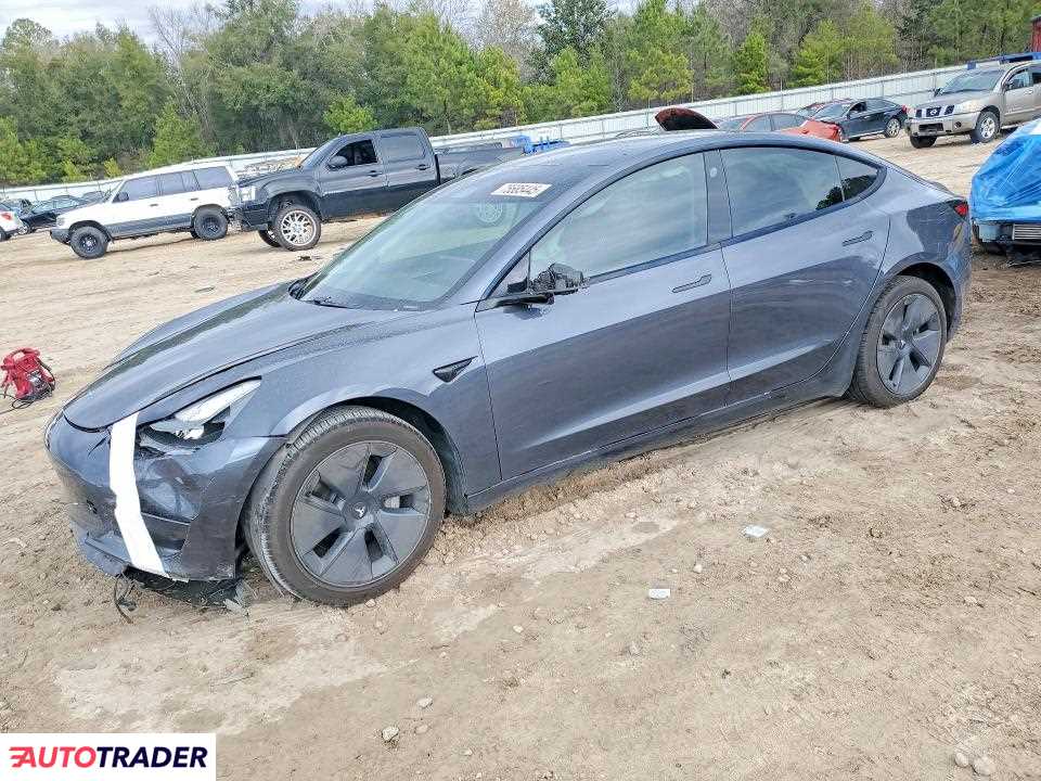 Tesla Model 3 2021