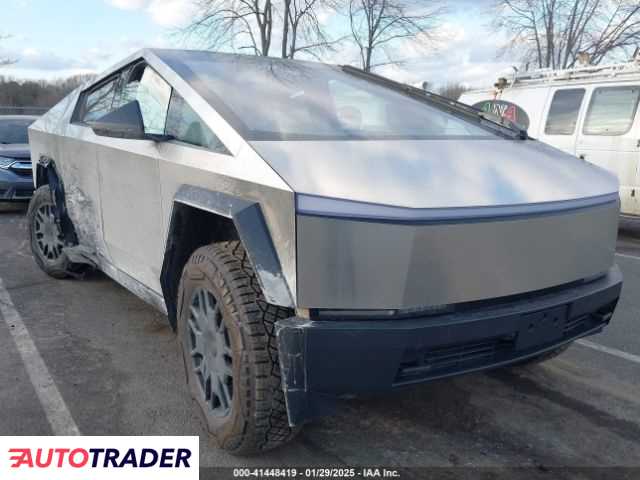 Tesla Pozostałe 2024