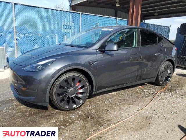 Tesla Model Y benzyna 2024r. (RIVERVIEW)