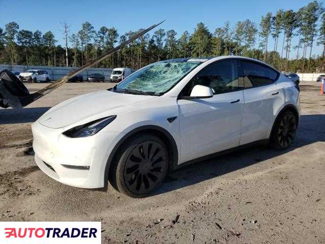 Tesla Model Y 2021