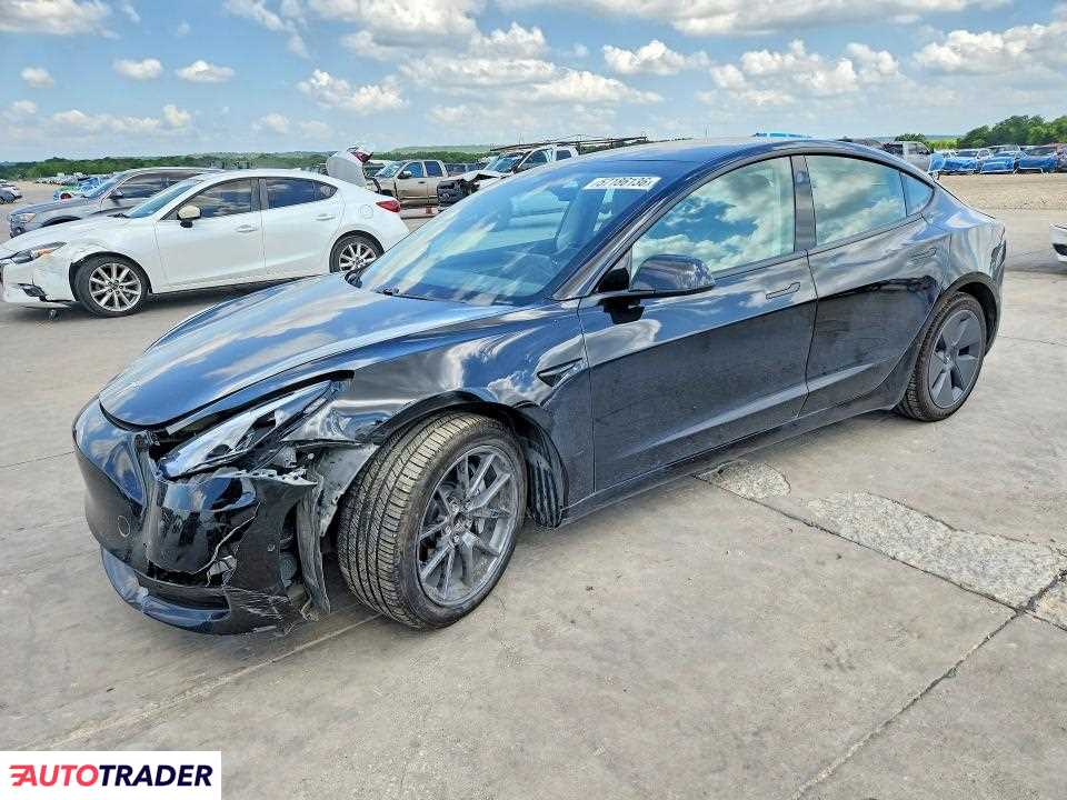 Tesla Model 3 2021