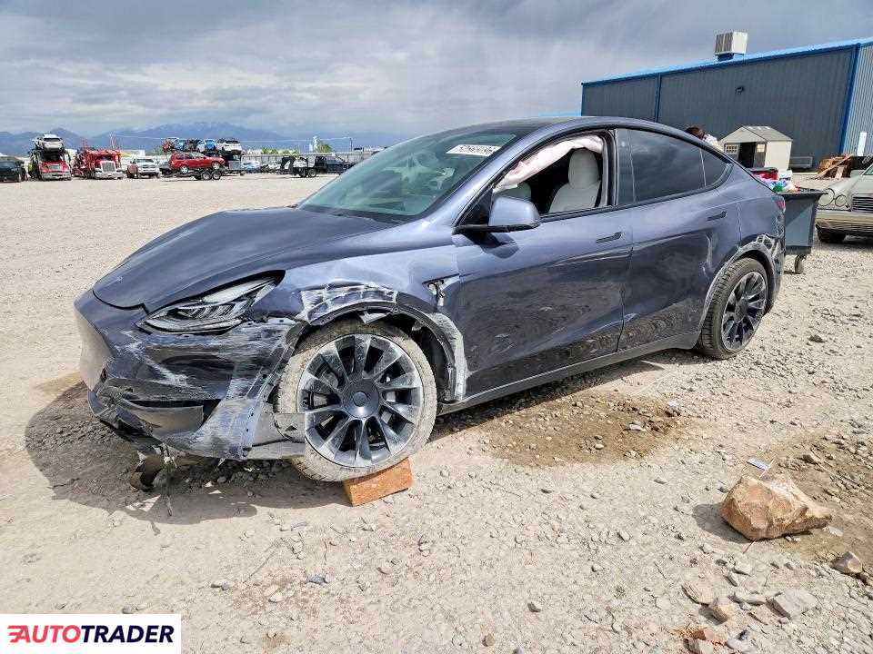Tesla Model Y 2021