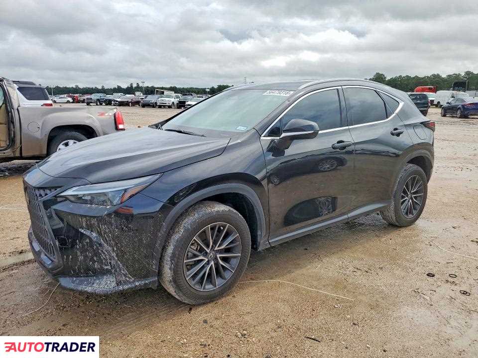 Lexus NX 2024 2
