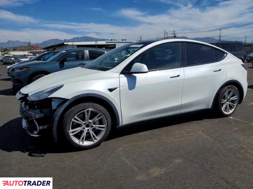 Tesla Model Y 2021