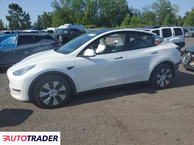 Tesla Model Y 2020