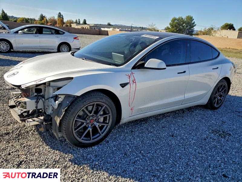 Tesla Model 3 2021