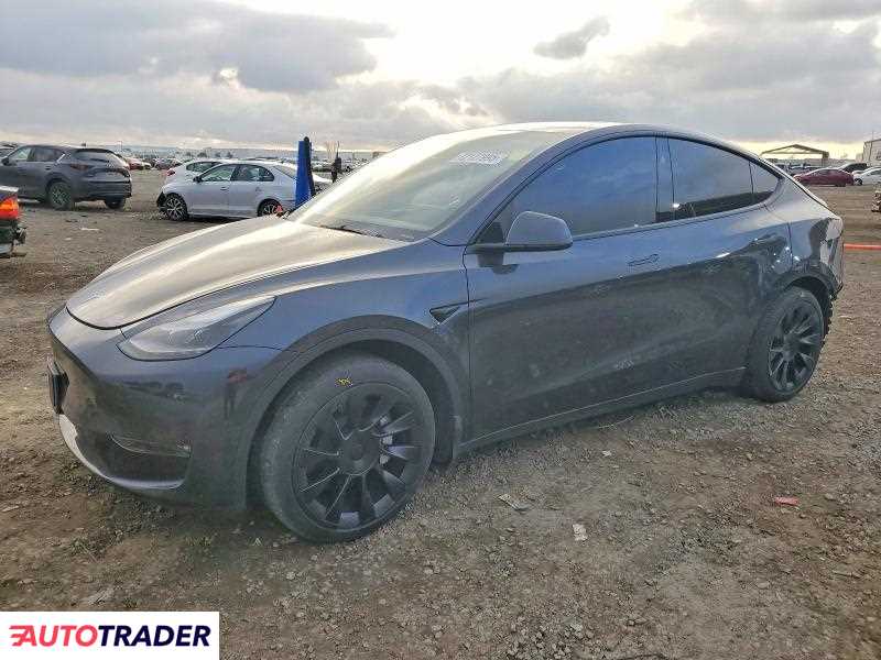 Tesla Model Y 2024