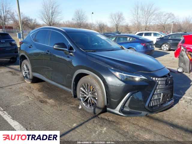 Lexus NX 2024 2