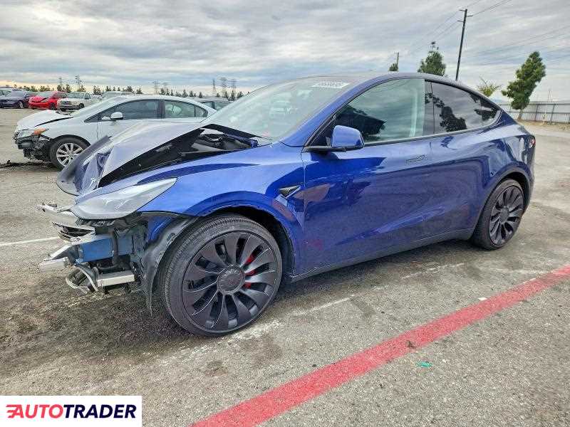 Tesla Model Y 2025