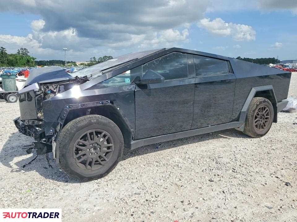 Tesla Pozostałe 2025