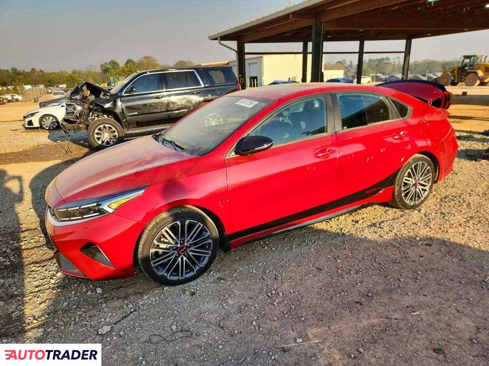 Kia Pozostałe 2024 1