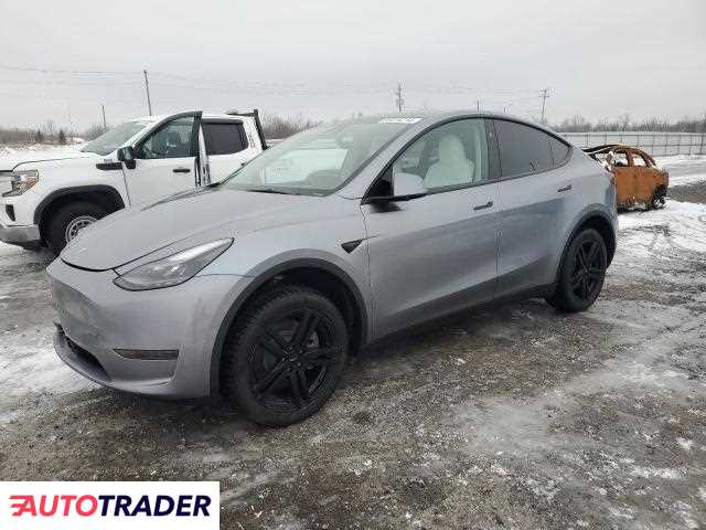 Tesla Model Y benzyna 2024r. (OTTAWA)