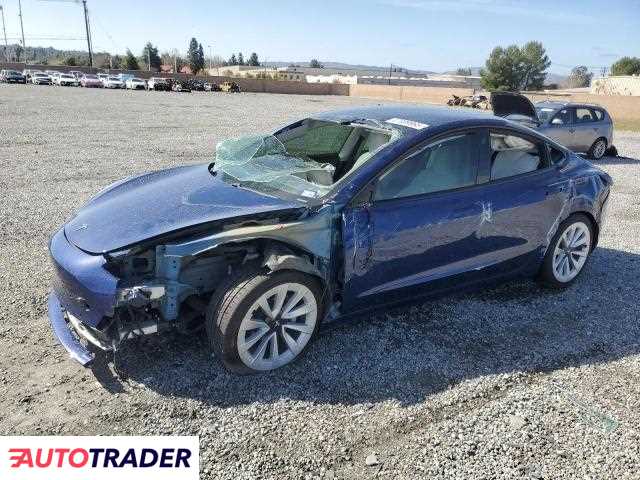 Tesla Model 3 2021
