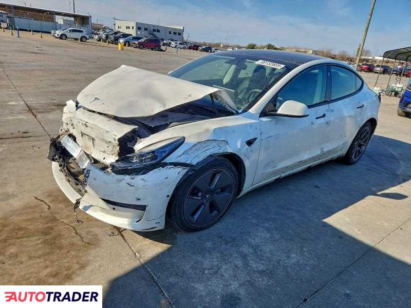 Tesla Model 3 2021