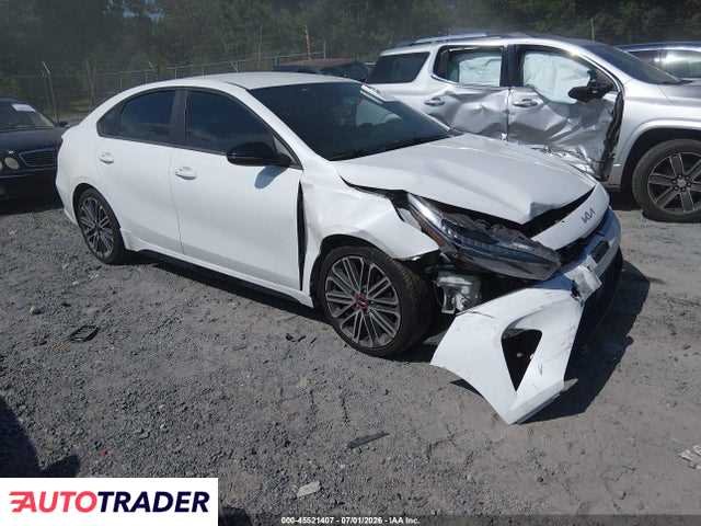 Kia Pozostałe 2022 1