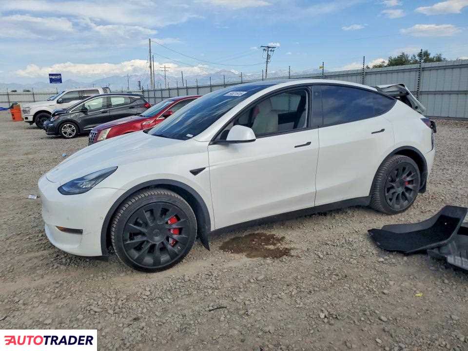 Tesla Model Y 2021