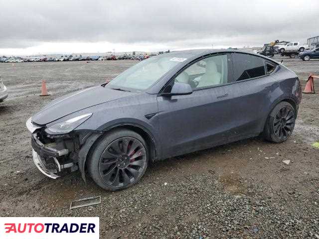 Tesla Model Y 2021 Tesla Model Y 2021