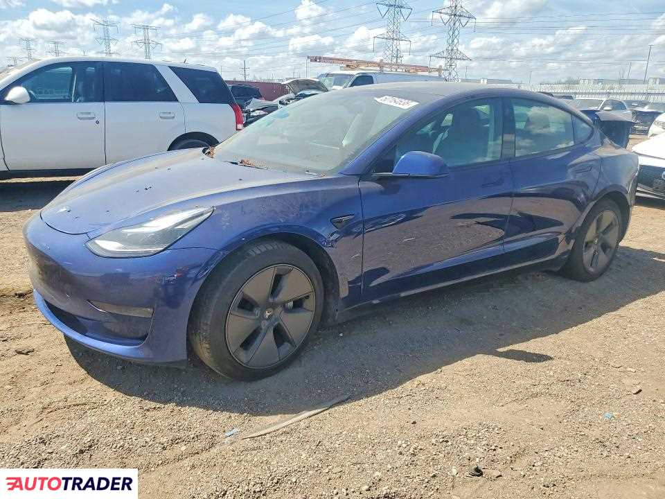 Tesla Model 3 2021