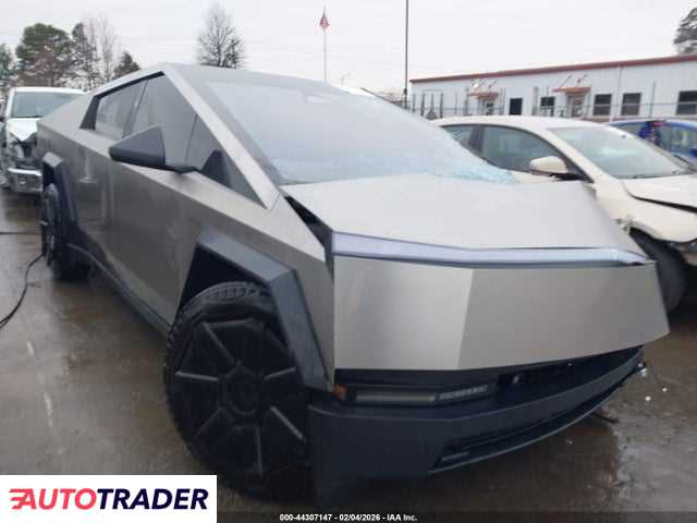 Tesla Pozostałe 2024