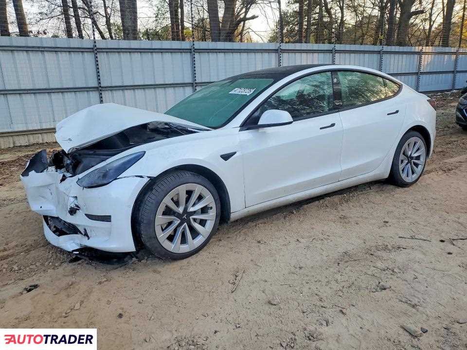 Tesla Model 3 2021