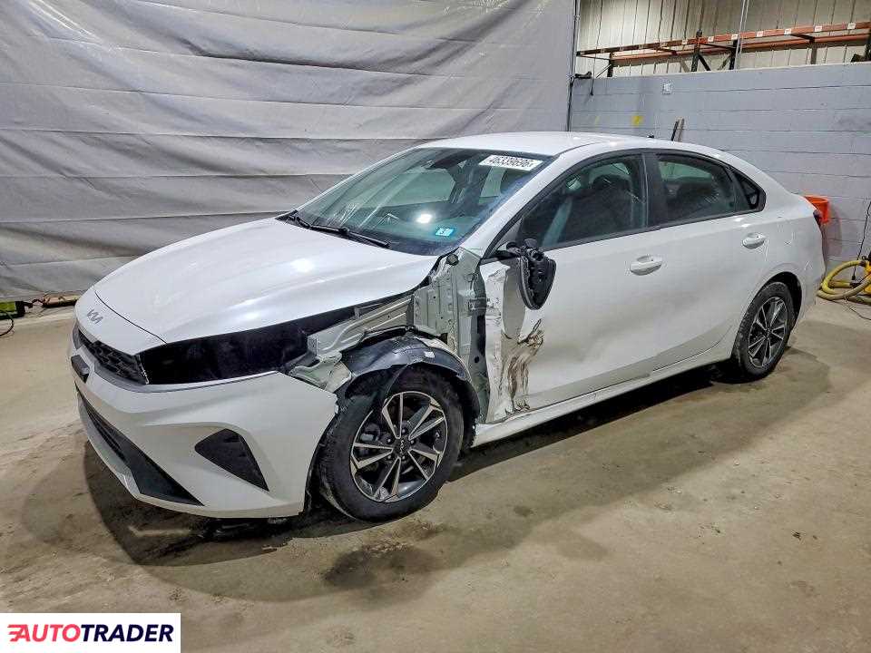Kia Pozostałe 2024 2