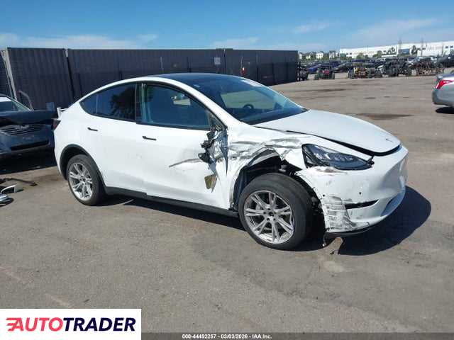 Tesla Model Y 2021