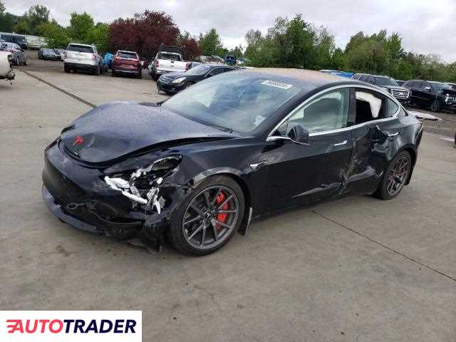 Tesla Model 3 2019