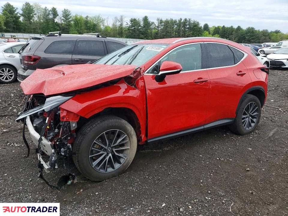 Lexus NX 2024 2