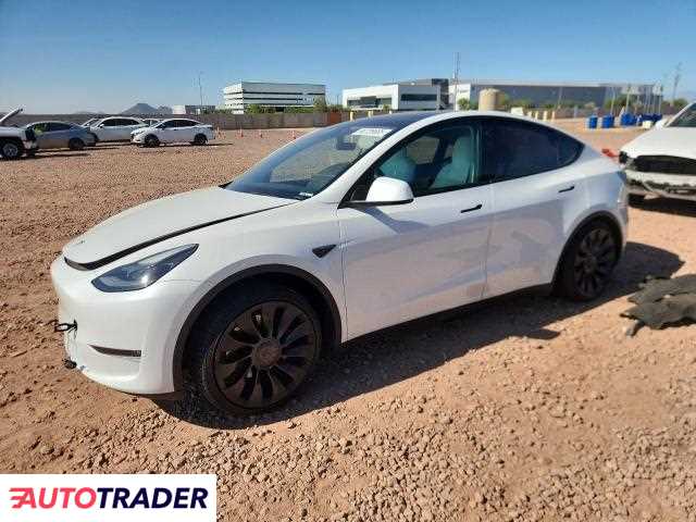 Tesla Model Y 2021