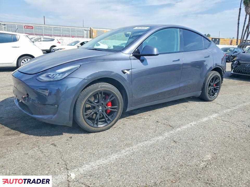 Tesla Model Y 2021
