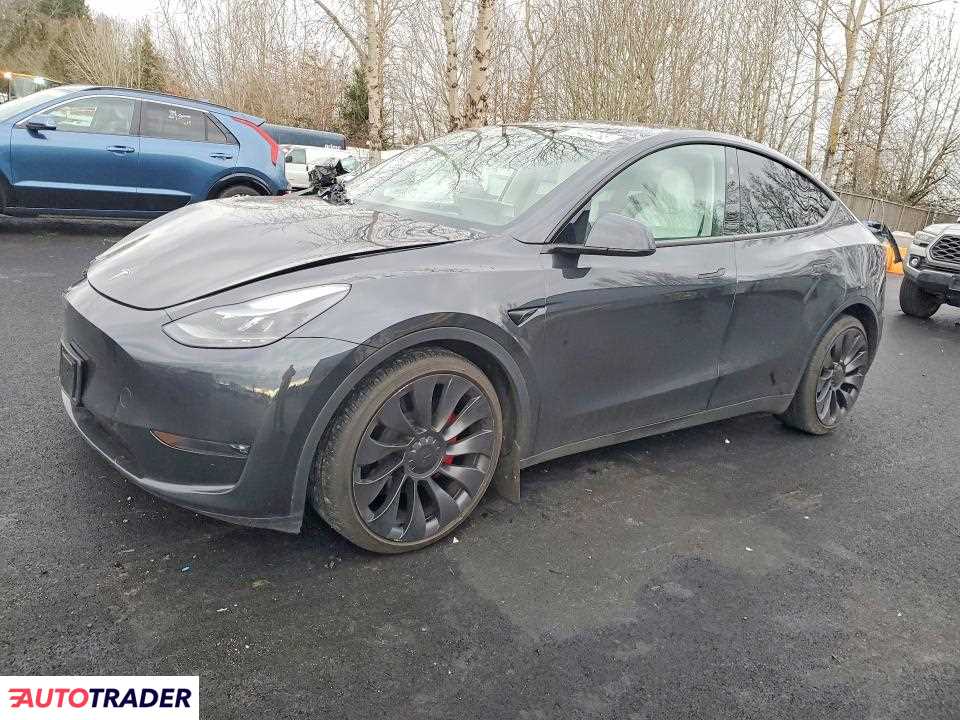 Tesla Model Y 2024