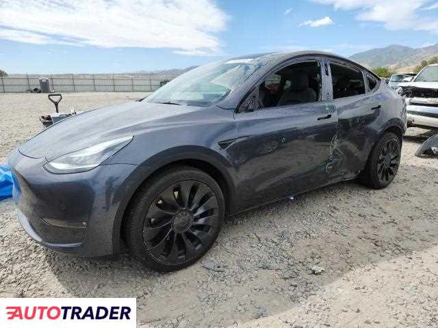 Tesla Model Y 2021 Tesla Model Y 2021