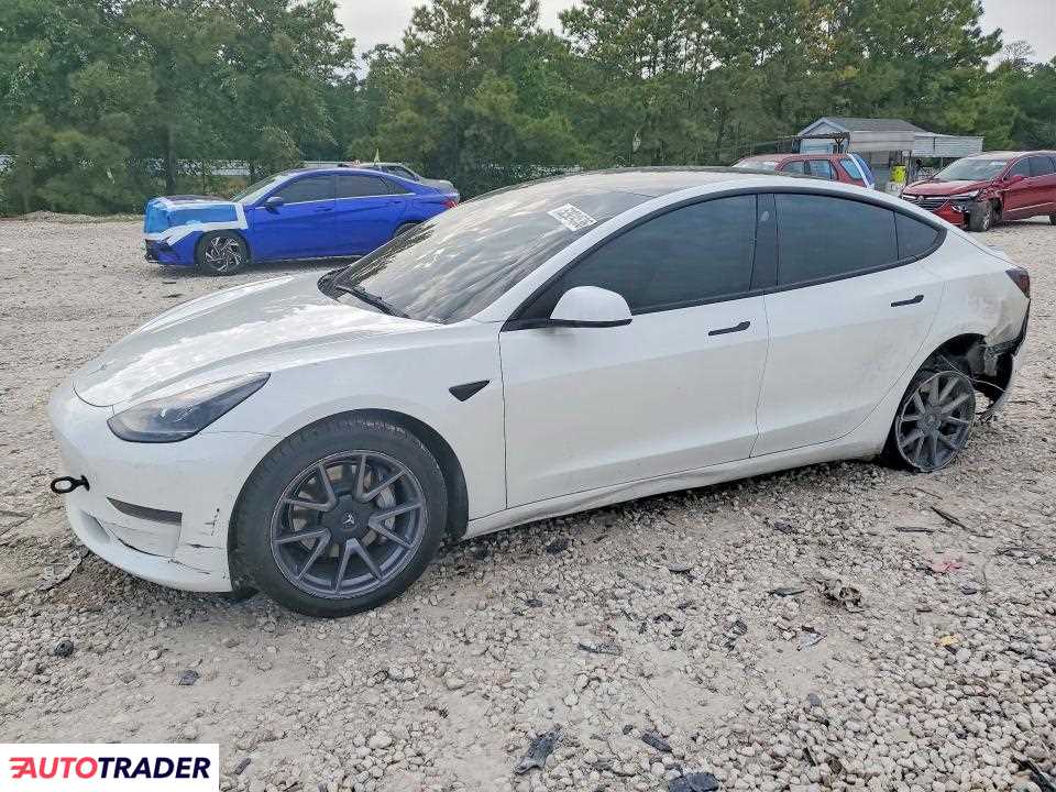 Tesla Model 3 2021