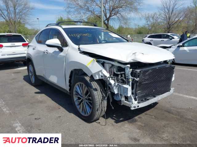Lexus NX 2024 2
