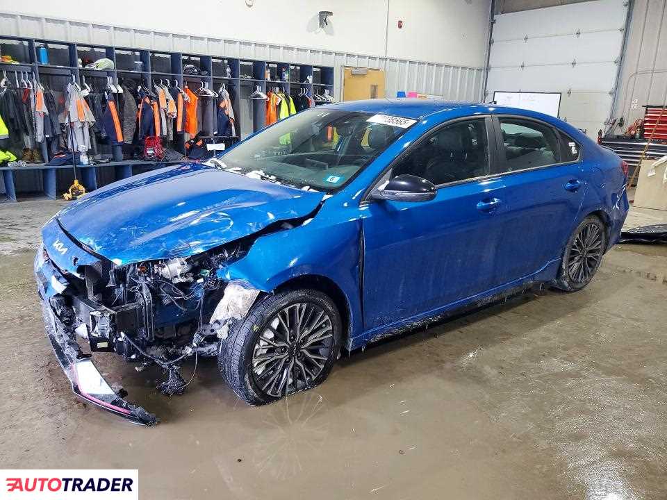 Kia Pozostałe 2022 2