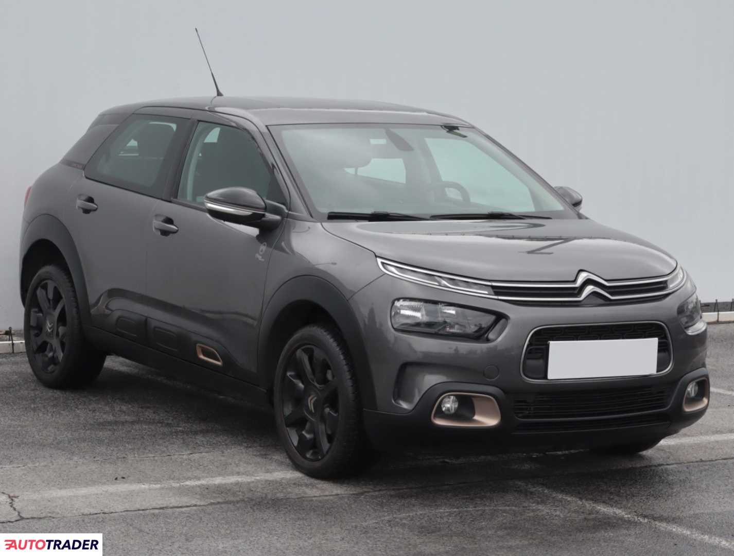 Citroen C4 Cactus 2019 1.2 108 KM