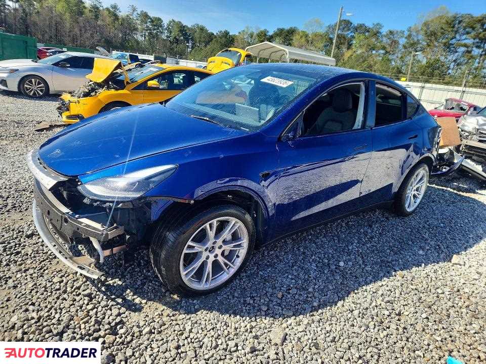 Tesla Model Y 2024