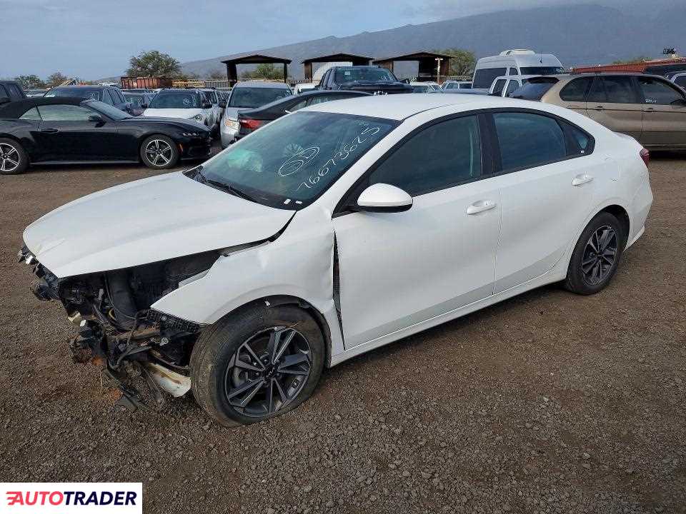 Kia Pozostałe 2024 2