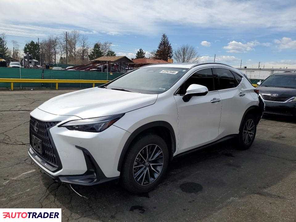 Lexus NX 2024 2
